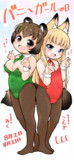 バニーガールの日
