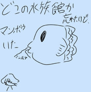 マンボウ