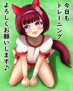 ブルマフラワー