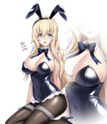 バニーウォさま