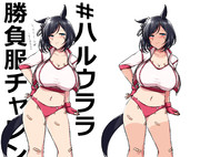 エイシンフラッシュ　ハルウララ勝負服チャレンジ