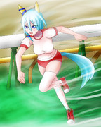 ブルマケイエスミラクル