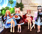 【今日のレア様】タルトを持ってきたよ…♡