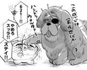 全然目が合わない大型犬に絡まれる621