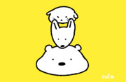 ぽーらーどっぐ　20231019
