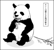 パンダの本音