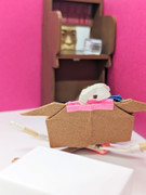 メイショウドトウに東野の顔ドッキリ