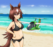 シリウスと行く海