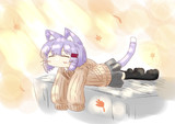 ぽかぽか
