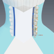 フリル(ミーア作成中)