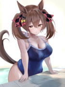 スマートファルコン