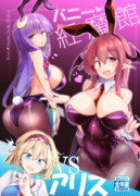 バニー紅魔館VSアリス