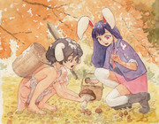 毎月17日と18日はイナバの日【キノコ狩り】