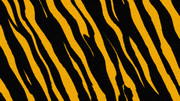 もふもふしたトラ柄　1920×1080（16：9）【フリー素材】