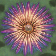 命の輝き-brilliance of life-（AI）