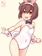 わんどろバニーのゆきかじぇ