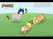 決闘！ニジカvsニジカ