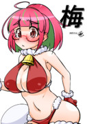 梅（1ﾄﾞﾛｵｰﾊﾞｰ20231201）