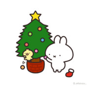 クリスマスツリーの日