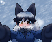 雪とギンギツネ