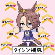 タイシン補強～！