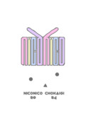 ポップなかわいいの