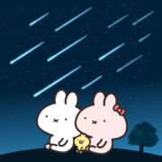 ふたご座流星群