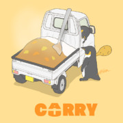 CARRY CURRY