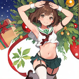 クリスマスとワキ