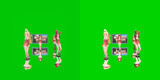【3DMMD】仮想世界で妄想感傷代償連盟を踊るポトワトサラミといつきちゃん (passthrou