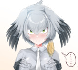 ハシビロコウ