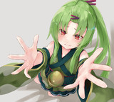 サンカクサボテン