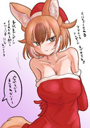 クリスマスプレゼントどるちゃ