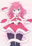 サンタ服