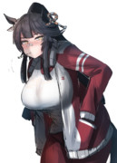 ナリタブライアン ジャージ