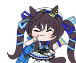 ヴィブロス勝負服