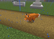 逃げ出したキツネ