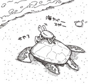 クサガメとウミガメ