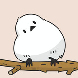 シマエナガ
