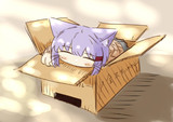 すやぁ