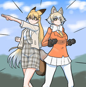 キトキツネとキッタギツネ