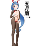 五月雨（1ﾄﾞﾛｵｰﾊﾞｰ20240128）