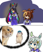 あらゆる事象から猫ミームを連想してしまうセイウンスカイ2