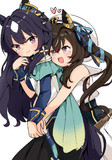 ヴィブロスとヴィルシーナ！！