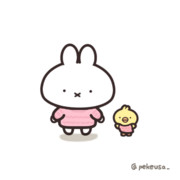 似合う色の日だよ