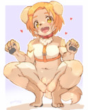 わんわん薫ちゃん