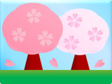 紅白桜【ギフトイラストコンテスト】