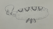 絵