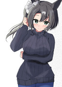 セータークラウン