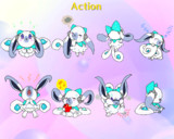 プリム　情報２